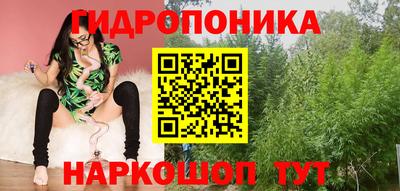 ПСИЛОЦИБИНОВЫЕ ГРИБЫ Камышлов
