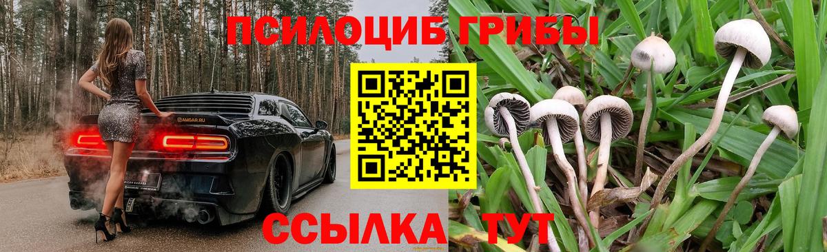 Псилоцибиновые грибы Magic Shrooms  что такое наркотик  Ликино-Дулёво  Галлюциногенные грибы Psilocybine cubensis  Вход с VPN 